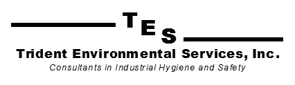 Trident Environmental Services